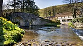 Packhorse bridge by Lorna Doone Farm, Malmsmead, Exmoor, Somerset, United Kingdom, Europe