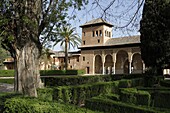 Palacio del Partal, Alhambra, UNESCO World Heritage Site, Granada, Andalucia, Spain, Europe