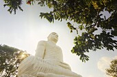 The large 27m Buddha statue at Sri Maha Bodhi Viharaya temple on Bahirawakanda Hill overlooking the city, Kandy, Sri Lanka, Asia