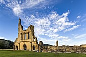 The Cistercian Monastery of Byland Abbey, North Yorkshire, Yorkshire, England, United Kingdom, Europe