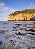 Smooth polished rocks on the shore at Thornwick Bay, looking towards the golden cliffs of Flamborough, Yorkshire, England, United Kingdom, Europe