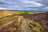 Clouds gather above the Cleveland Way and the heather-clad Little Bonny Cliff, North Yorkshire Moors, Yorkshire, England, United Kingdom, Europe