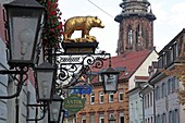 Salzstravue and Minster, Old Town, Freiburg, Baden-Wurttemberg, Germany, Europe