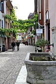 Konvikstravue, Old Town, Freiburg, Baden-Wurttemberg, Germany, Europe