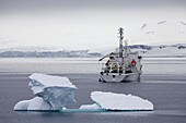 Russian research vessel and tourist ship Akademik Ioffe anchored off Half Moon Island, South Shetland Islands, Antarctic Peninsula, Antarctica, Polar Regions