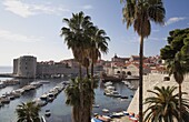 Palm trees and the harbour, Dubrovnik Old Town, Dubrovnik, Croatia, Europe