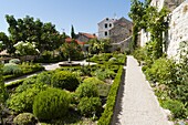 Medieval mediterranean garden of St. Lawrence Monastery, Sibenik, Dalmatia region, Croatia, Europe