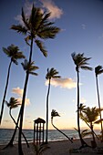 Bavaro Beach at sunrise, Punta Cana, Dominican Republic, West Indies, Caribbean, Central America