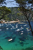 View over bay, Aiguablava, near Begur, Costa Brava, Catalonia, Spain, Mediterranean, Europe