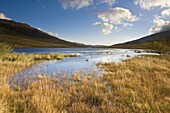 Lyn Lockwood, Snowdonia National Park, Wales, United Kingdom, Europe