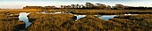 The image of the world is represented in the shape of the creek weaving around the marshy edges of Chichester Harbour, West Sussex, England, United Kingdom, Europe