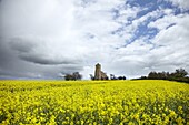 St. Andrew's Church, Wood Walton, Cambridgeshire, England, United Kingdom, Europe