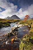 A stream runs through an autumnal Rannoch Moor towards Buachaille Etive Mor, Highlands, Scotland, United Kingdom, Europe