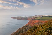 Looking over Littleham Cove towards Straight Point, and a clifftop caravan park, Jurassic Coast, UNESCO World Heritage Site, Exmouth, Devon, England, United Kingdom, Europe