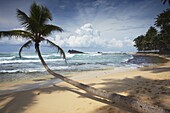 Dalawela beach, Southern Province, Sri Lanka, Asia