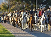 Spanish horsemen in feria procession, Tarifa, Andalucia, Spain, Europe
