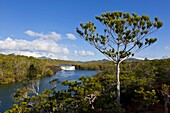 The waterfalls Chutes de la Madeleine on the south coast of Grande Terre, New Caledonia, Melanesia, South Pacific, Pacific