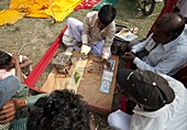 Fortune telling green parakeet picking tarot cards at Sonepur Cattle Fair, Bihar, India, Asia