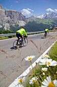 Cyclists, Sella Pass, Trento and Bolzano Provinces, Italian Dolomites, Italy, Europe