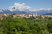 View of town and Duomo of San Martino, Belluno, Province of Belluno, Veneto, Italy, Europe