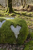Love Heart shape in moss on granite bolder, United Kingdom, Europe