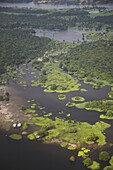 Aerial view of Amazon rainforest and tributary of Rio Negro, Manaus, Amazonas, Brazil, South America