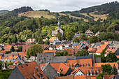 Goslar, Ziegeldaecher, Niedersachsen, Deutschland