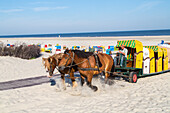 Sandstrand, Saisonende, Pferdegespann transportieren Strandkoerbe vom Strand, Nordseeinsel Juist, Ostfriesland, Niedersachsen, Deutschland