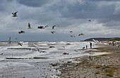 Storm along the Baltic Sea coast, Boergerende, Mecklenburg Western Pomerania, Germany