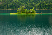 Kleine Insel im Eibsee, bei Garmisch-Partenkirchen, Werdenfelser Land, Bayern, Deutschland