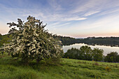 Weinfelder Maar (Totenmaar), bei Daun, Eifelsteig, Vulkaneifel, Eifel, Rheinland-Pfalz, Deutschland