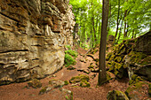 Teufelsschlucht, nature park Suedeifel, Eifel, Rhineland-Palatinate, Germany