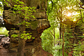 Teufelsschlucht, Naturpark Südeifel, Eifel, Rheinland-Pfalz, Deutschland