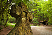 Christianisierter Menhir, Fraubillenkreuz, Naturpark Südeifel, Eifel, Rheinland-Pfalz, Deutschland