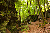 Rock formation Schweinestaelle, near Bollendorf, nature park Suedeifel, Eifel, Rhineland-Palatinate, Germany
