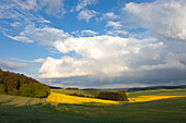 Landschaft bei Nürburg, Eifel, Rheinland-Pfalz, Deutschland