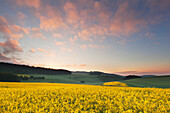 Landschaft bei Nürburg, Eifel, Rheinland-Pfalz, Deutschland