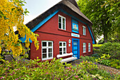 Haus Schifferwiege in Wustrow, Darss,  Ostsee, Mecklenburg-Vorpommern, Deutschland
