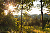 View from Kahler Asten hill, near Winterberg, Rothaarsteig hiking trail, Rothaargebirge, Sauerland region, North Rhine-Westphalia, Germany