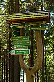 Signpost at the Goethe hiking trail to Kickelhahn hill, near Ilmenau, nature park Thueringer Wald,  Thuringia, Germany