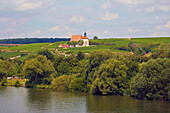 Blick über den Main mit dem Kirchberg und der Wallfahrtskapelle St. Maria im Weingarten, Sommer, Unterfranken, Bayern, Deutschland, Europa