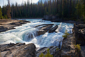 Kicking Horse River, Yoho National Park, Rocky Mountains, British Columbia, Kanada