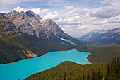 Bergwelt am Peyto Lake, Banff National Park, Rocky Mountains, Alberta, Kanada