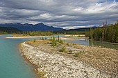 Landscape at Athabasca River, Jasper National Park, Rocky Mountains, Alberta, Canada
