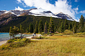 Bow Lake, Banff National Park, Rocky Mountains, Alberta, Canada