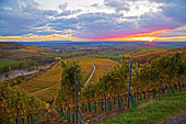 View from the Stollberg over vineyards towards Oberschearzach, Sunset, Steigerwald, Markt Oberschwarzach, Unterfranken, Bavaria, Germany, Europe
