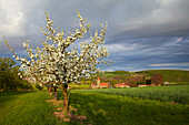 Ehemaliges Kloster St. Ludwig bei Lindach, Frühling, Unterfranken, Bayern, Deutschland, Europa