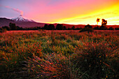 Volcano Villarrica at sunset, snow covered with smoke signalizing soon volcanic outburst and eruption, Strato volcano, sunset, National Park Villarrica, Pucon, Región de la Auracania, Region Los Rios,  Patagonia, Andes, Chile, South America