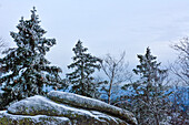 view from rocks of Ahresnklint, also Ahrensklippen or Adlerfelsen, in winter, Schierke, National Park Harz, Harz Mountains, Saxony-Anhalt, Germany