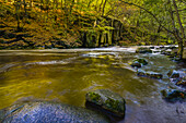 Fluss Bode fließt über Steine und Felsen im Herbst, Bodetal, Thale, Harzvorland, Harz, Sachsen-Anhalt, Deutschland